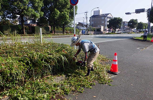 令和３年度 熊本東ＢＰ龍田地区道路植栽維持工事