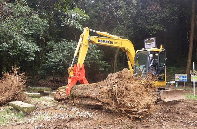 熊本県民総合運動公園都市公園（植樹管理その２）工事